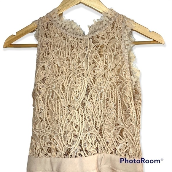 4 for $40 SALE!Luxxel Lace Bodice Fit & Flare Mini Dress, Blushed Taupe, Size S - Picture 7 of 7